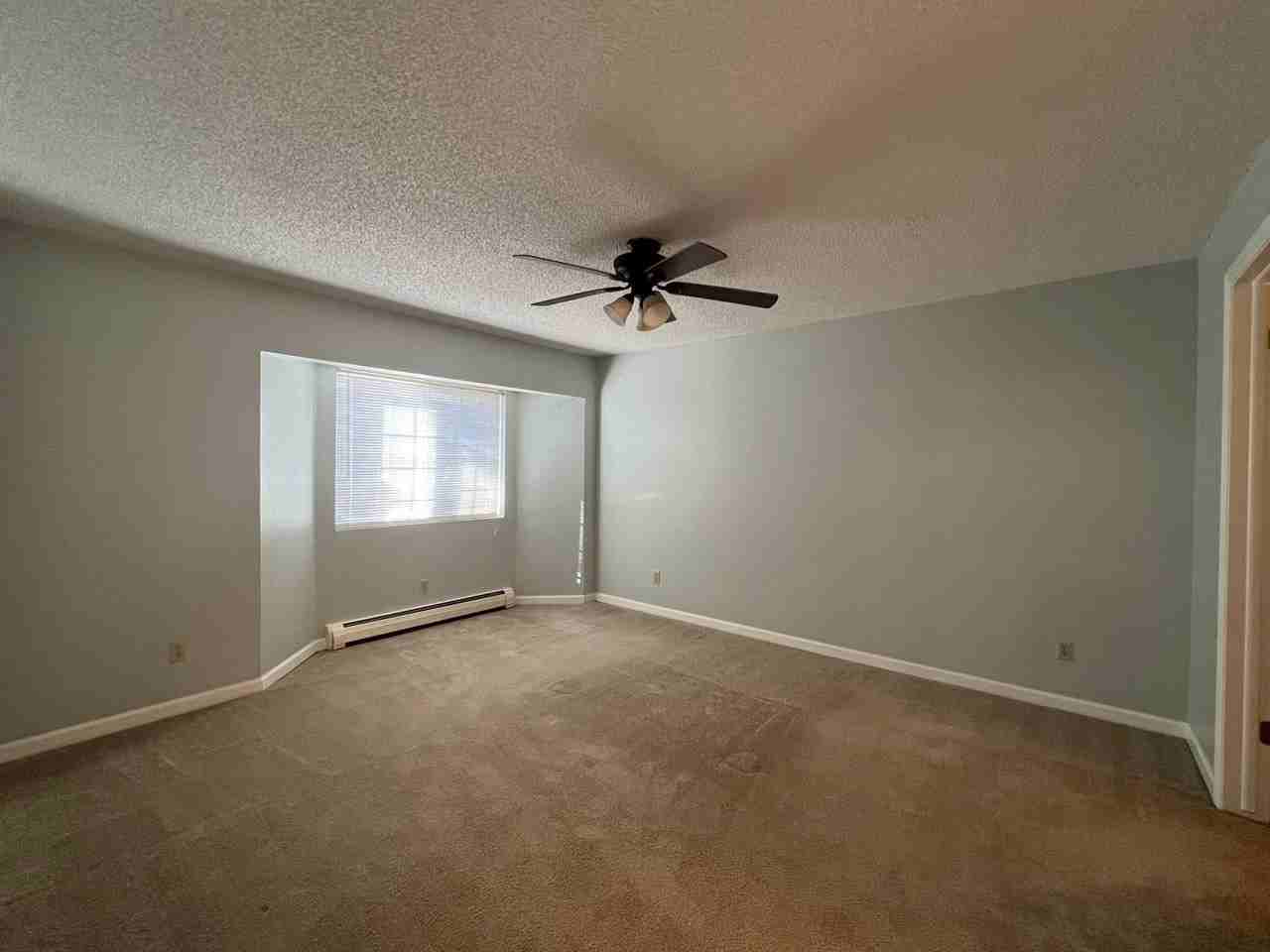 2450 Palmer Park Blvd #203 - Photo 5 of 13