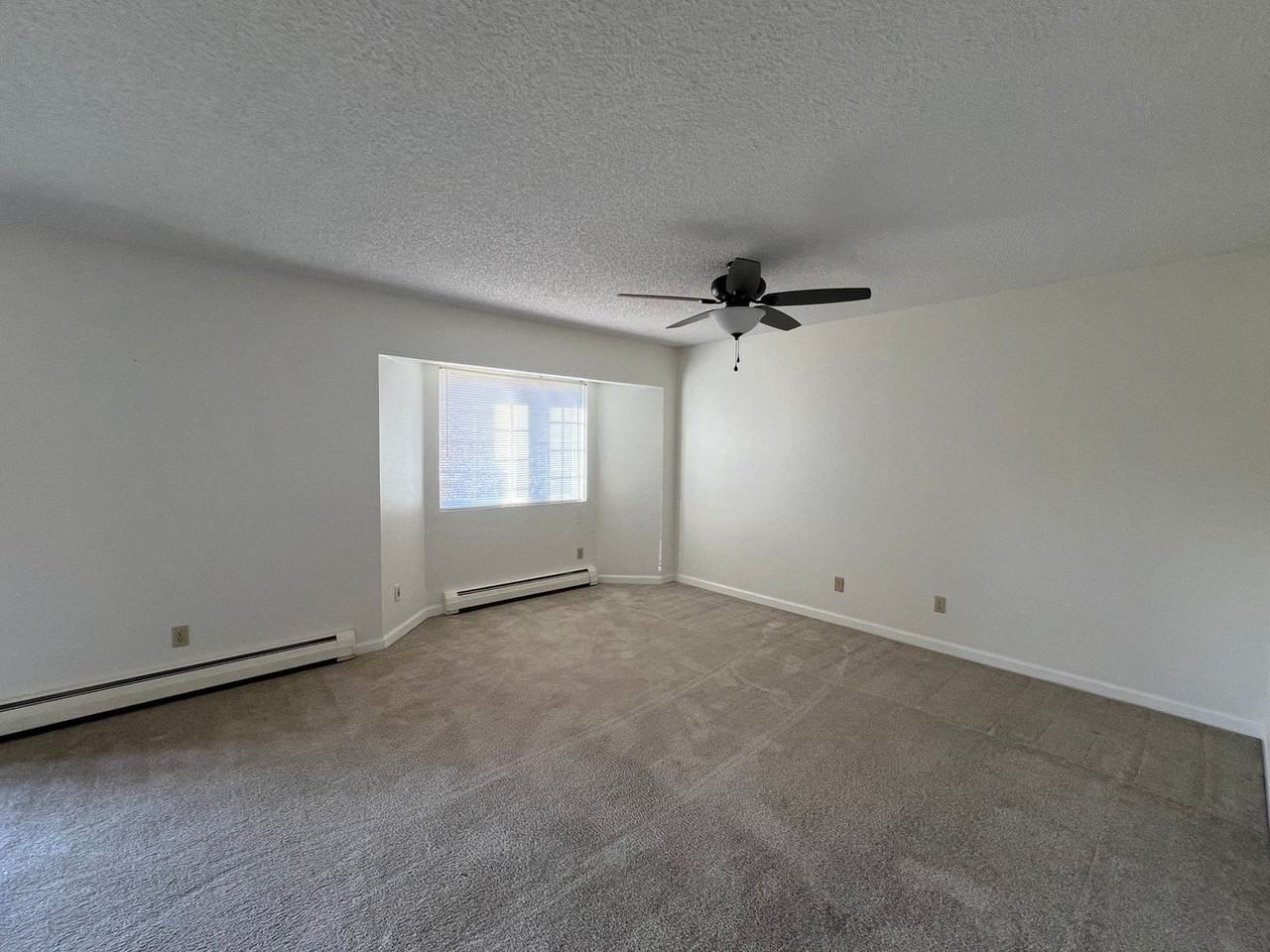 2450 Palmer Park Blvd #203 - Photo 6 of 13