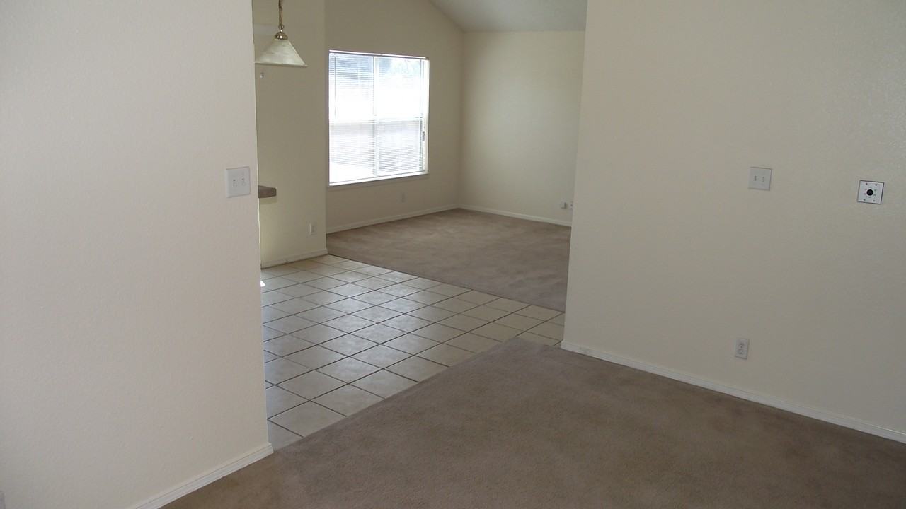 11128 Ilan Ramon Pl - Photo 4 of 15