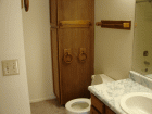4528 Castlepoint Dr - Photo 3 of 9