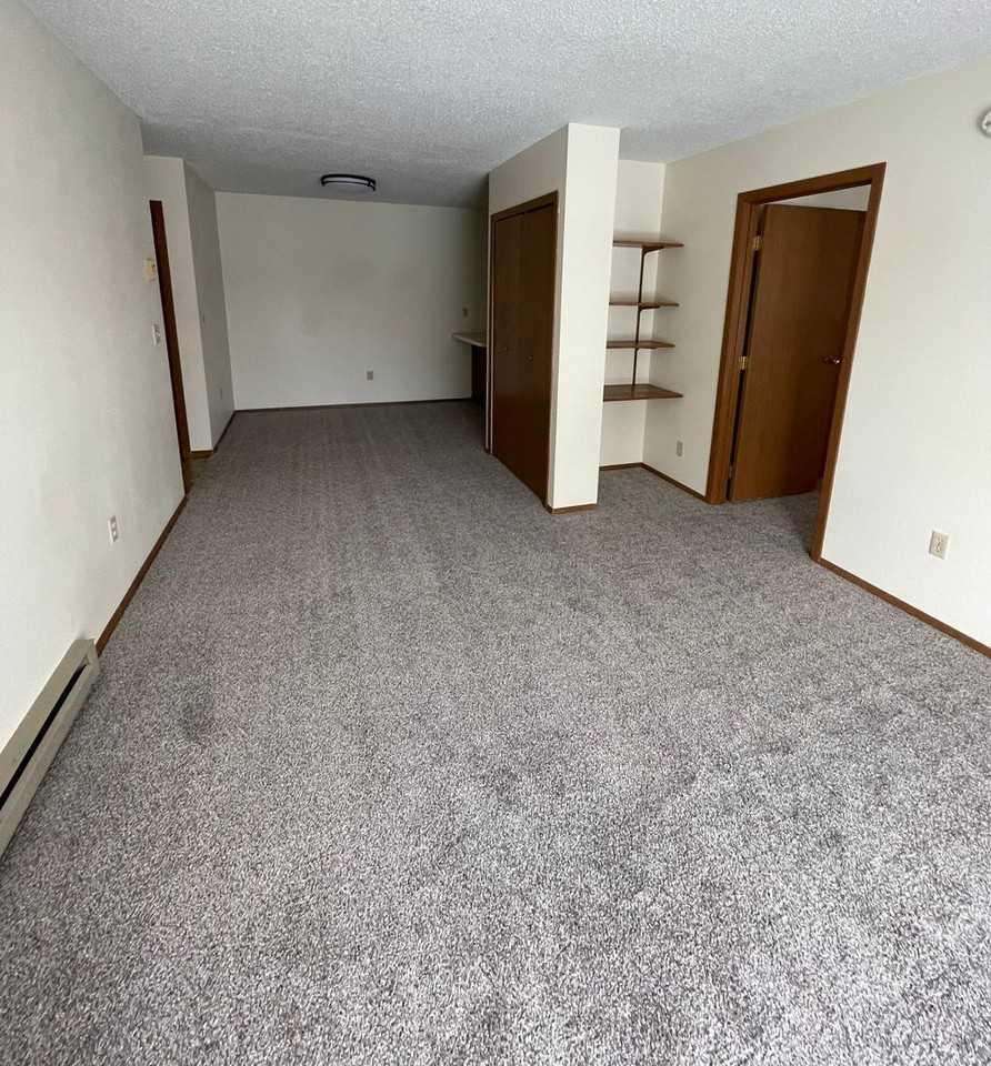 3211 15th Ave S Apt D - Photo 4 of 12