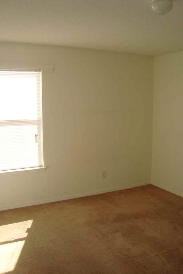 7336 Mesquite Sun Lane - Photo 6 of 11