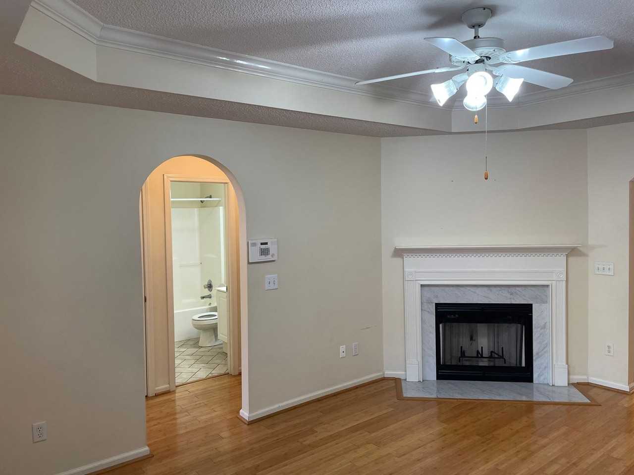 314 Coales Branch Cir - Photo 3 of 21