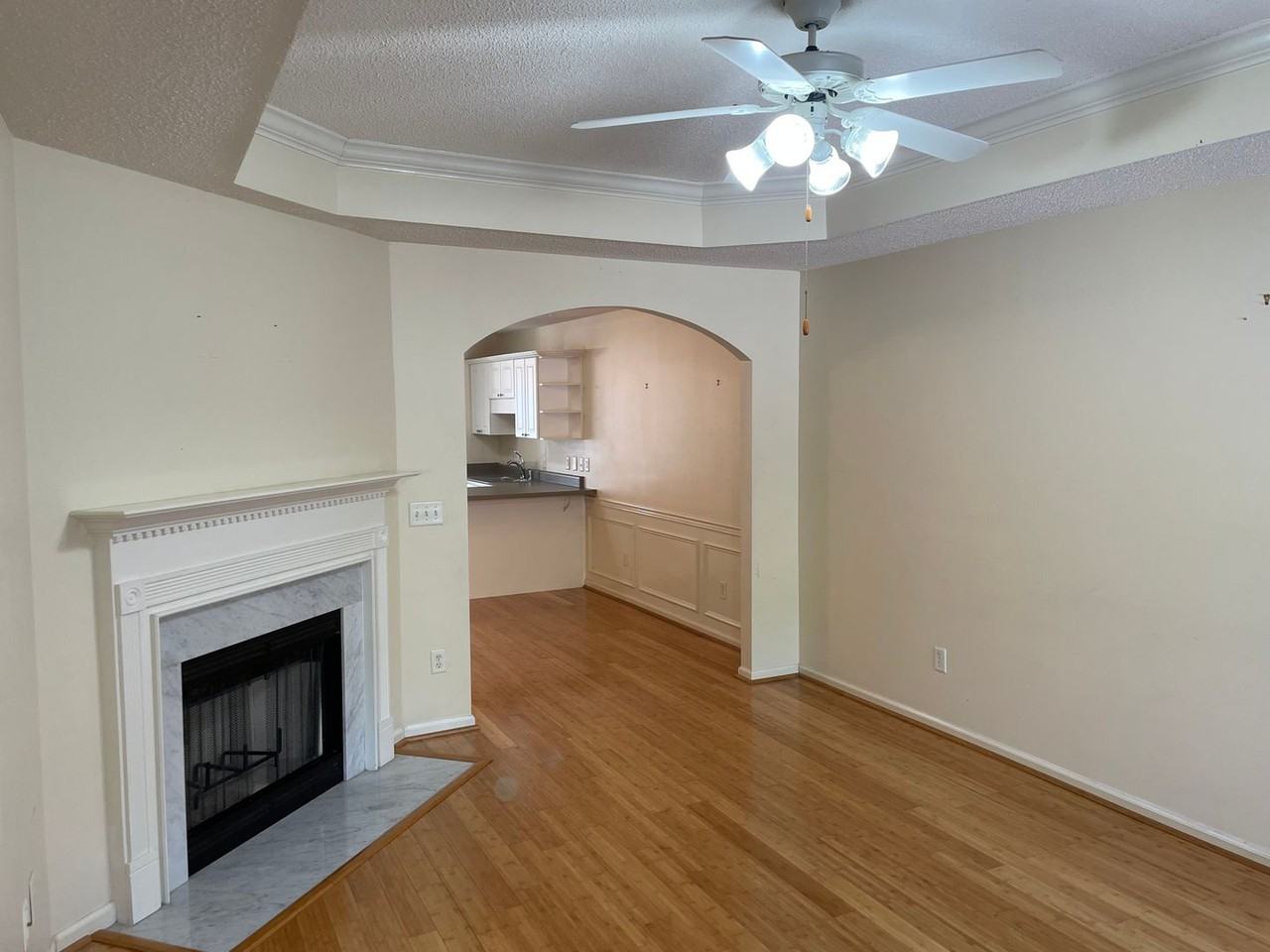 314 Coales Branch Cir - Photo 4 of 21