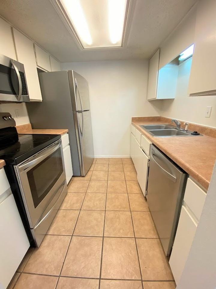 2401 Leon St #301 - Photo 7 of 30