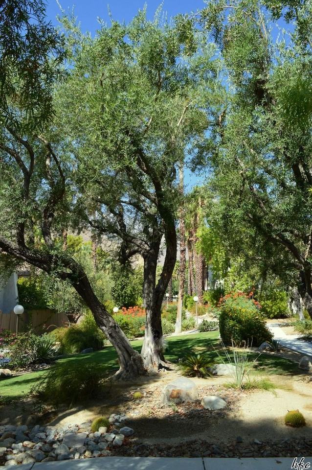 1826 N Mira Loma Way - Photo 2 of 16