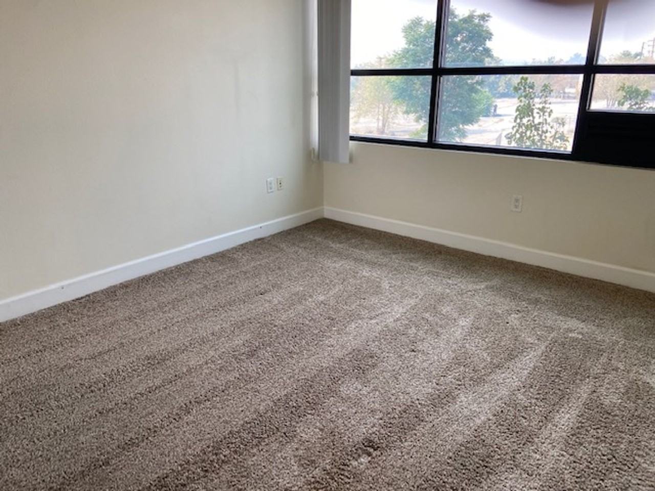 450 N Arlington Ave #307 - Photo 4 of 10