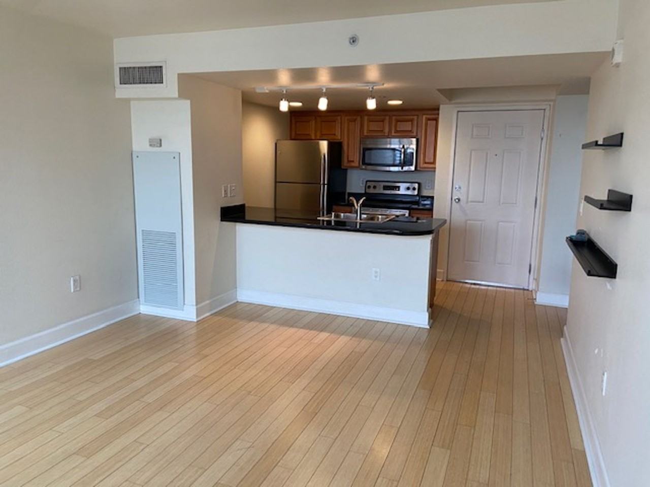 450 N Arlington Ave #307 - Photo 7 of 10