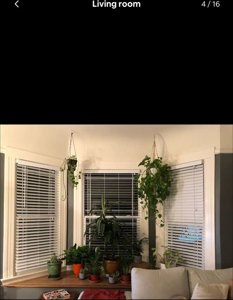 1117 Lincoln Way - Photo 3 of 19