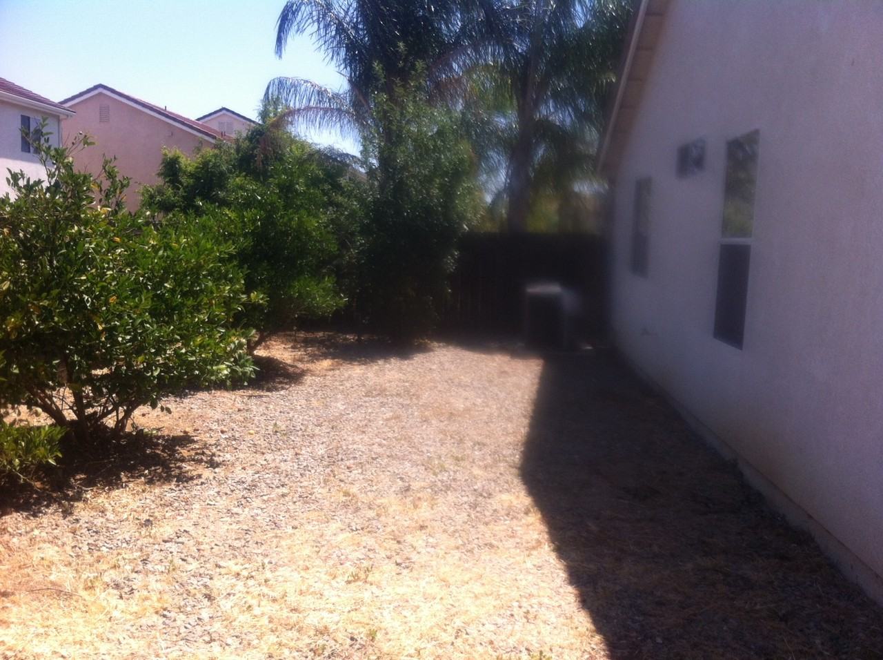 1119 Bullfinch Dr - Photo 3 of 7