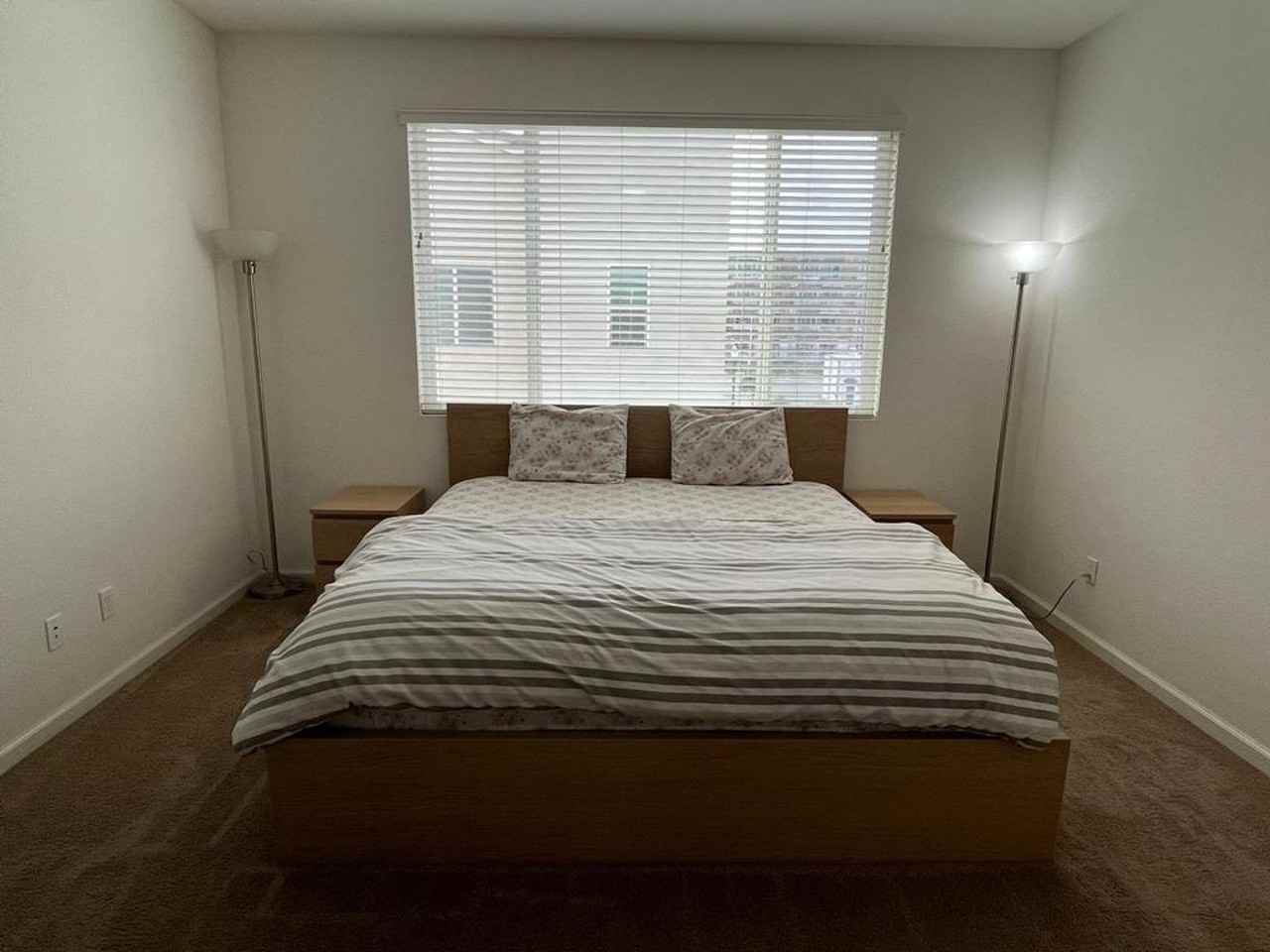 3719 Amelia Rose Way - Photo 3 of 12