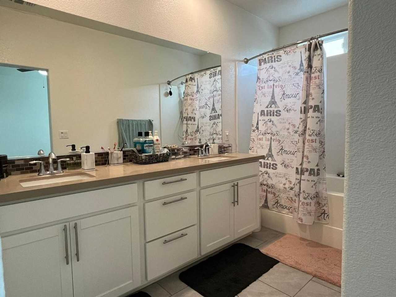 3719 Amelia Rose Way - Photo 5 of 12