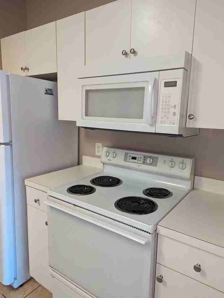 3951 Gladiola Ct - Photo 6 of 12