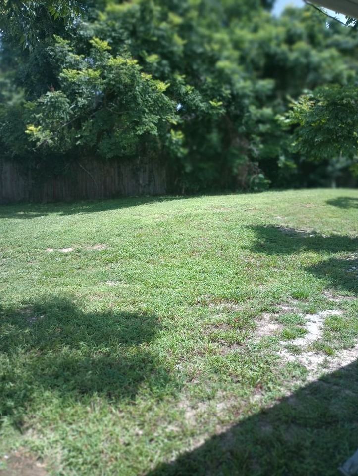 1725 Needlewood Ln - Photo 2 of 9