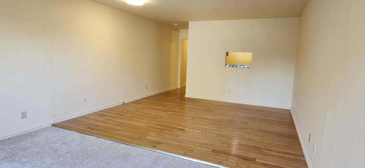 1723 Livingston Ln - Photo 3 of 16