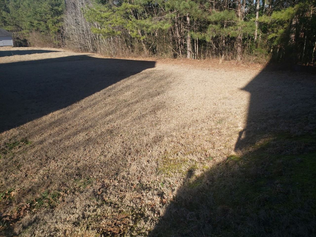 5797 Village Loop - Photo 3 of 22