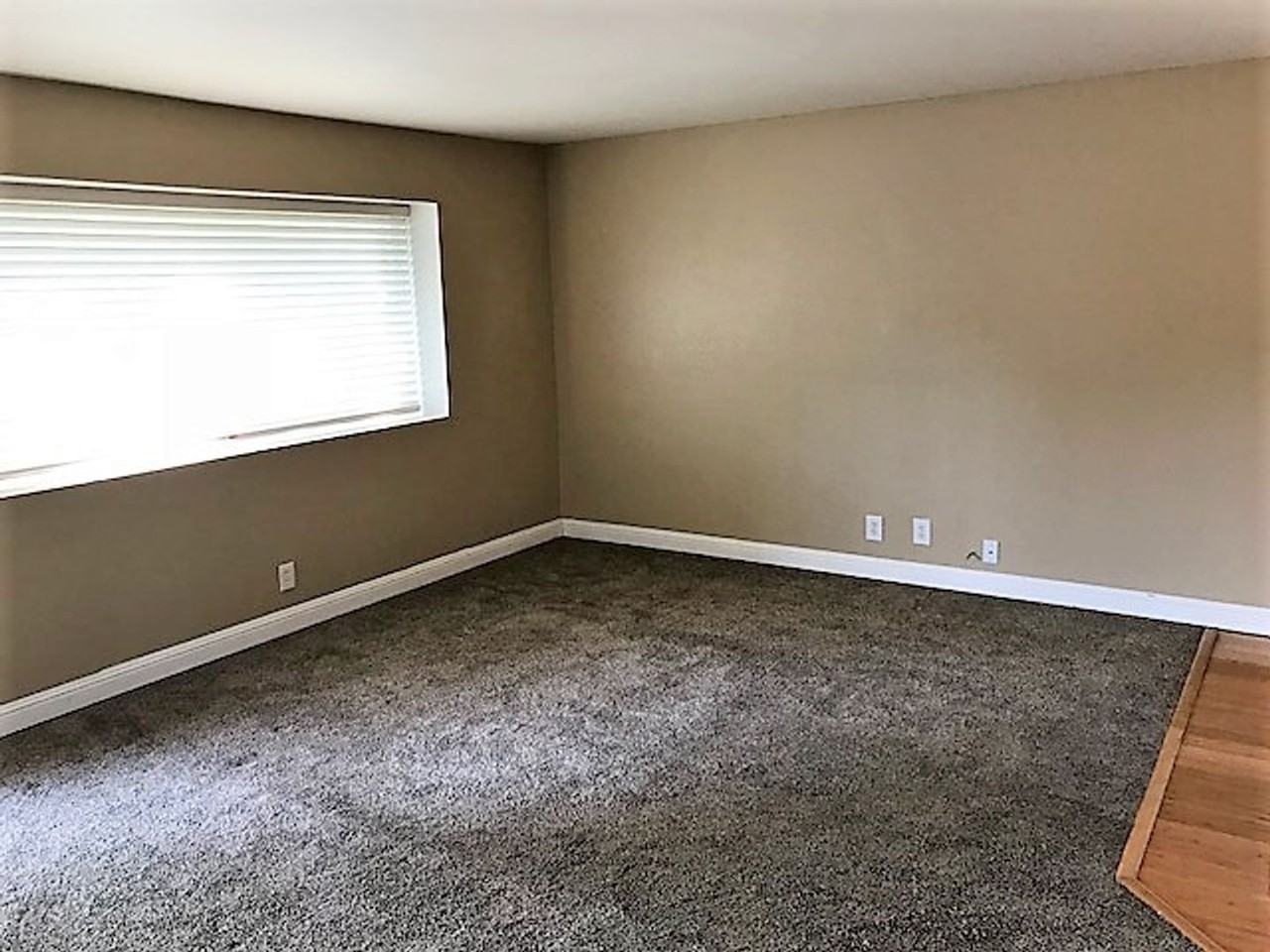 1946 Lima Dr - Photo 3 of 16