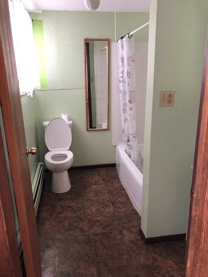 214 E Spruce St - Photo 6 of 14