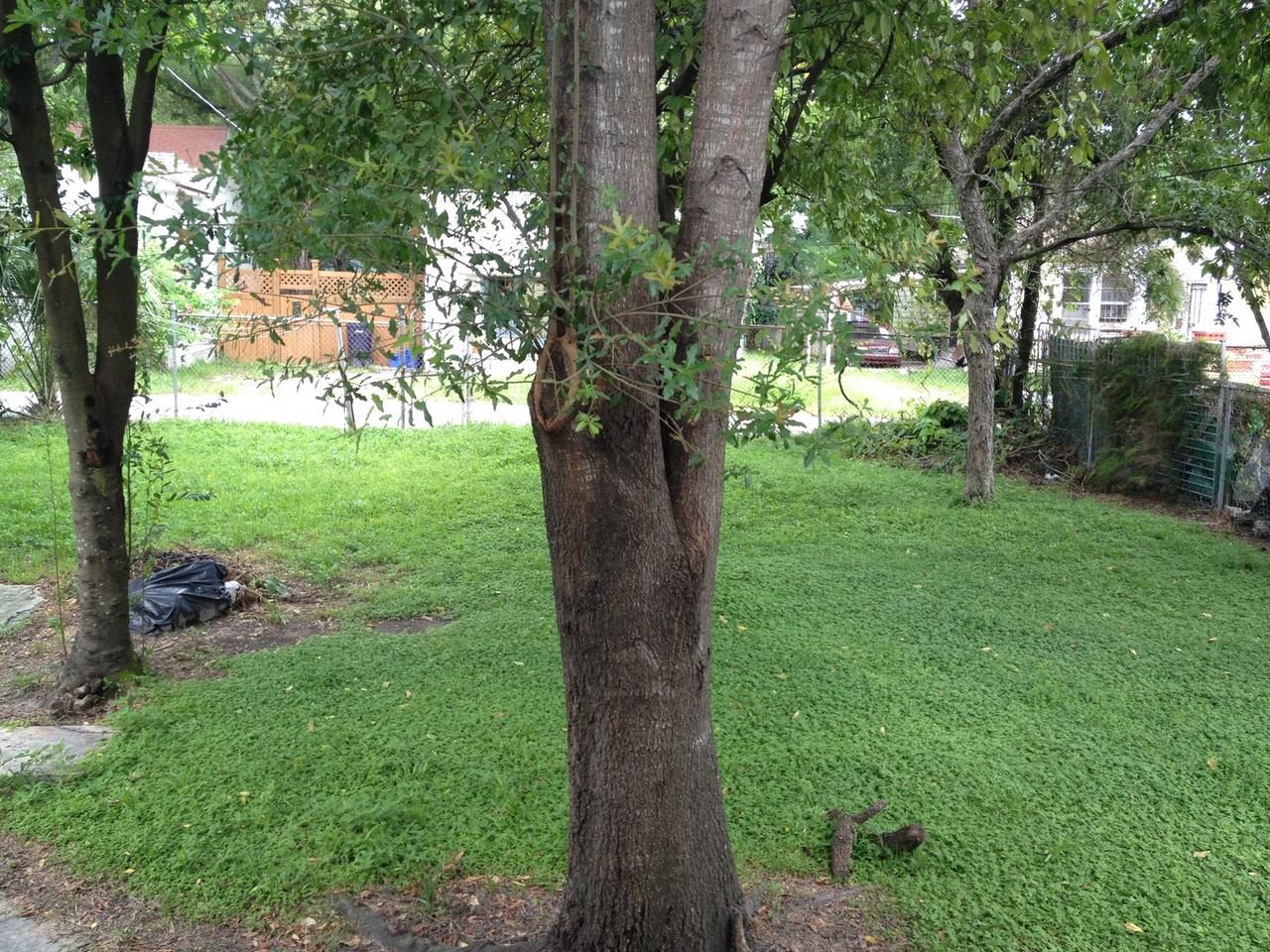 1212 18th Avenue - Photo 2 of 18