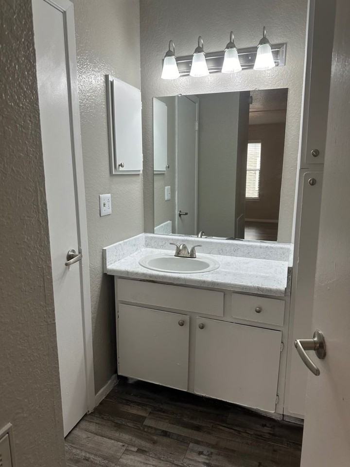 1205 Park Vista Dr #2501 - Photo 4 of 4