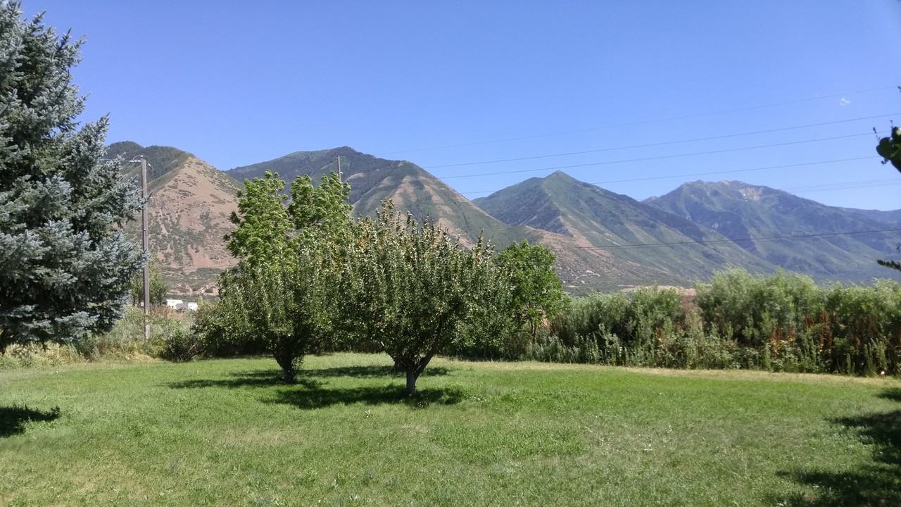 521 E 8800 S - Photo 2 of 19