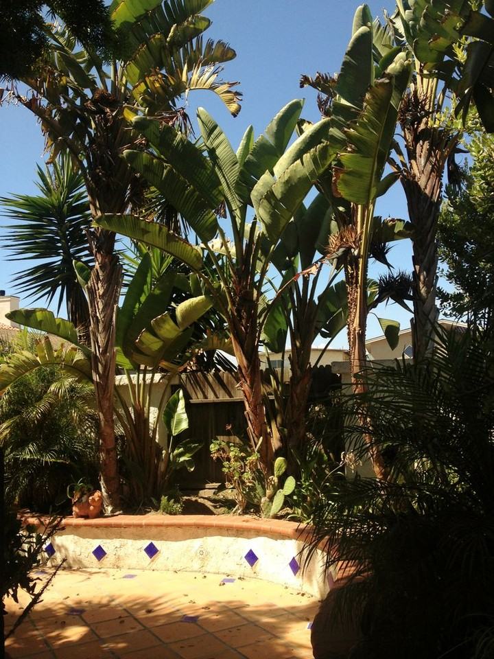 5251 Seabreeze Way - Photo 2 of 8