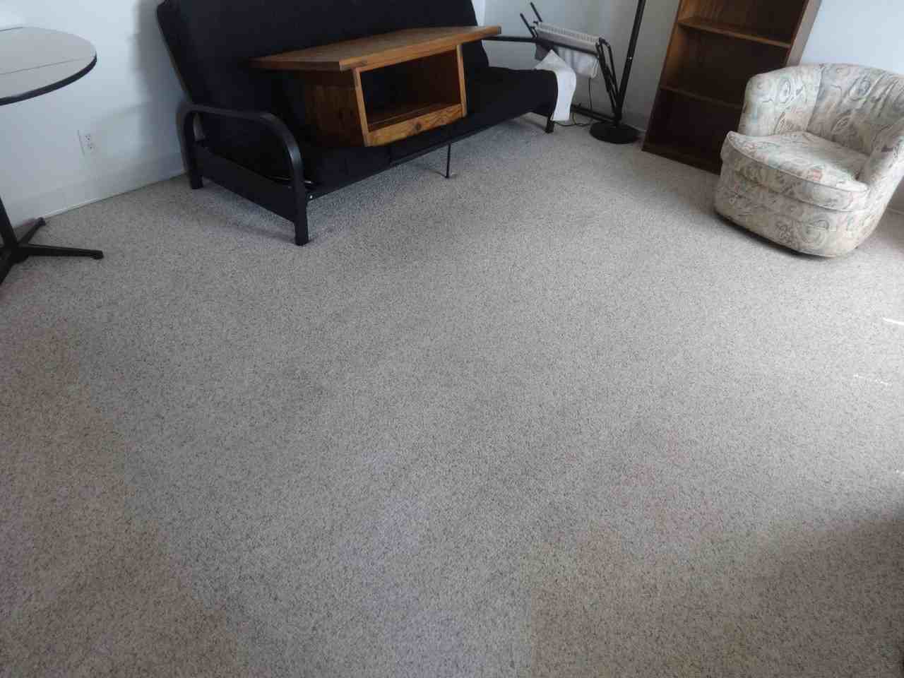 2432 Arlington Blvd #C6 - Photo 5 of 15