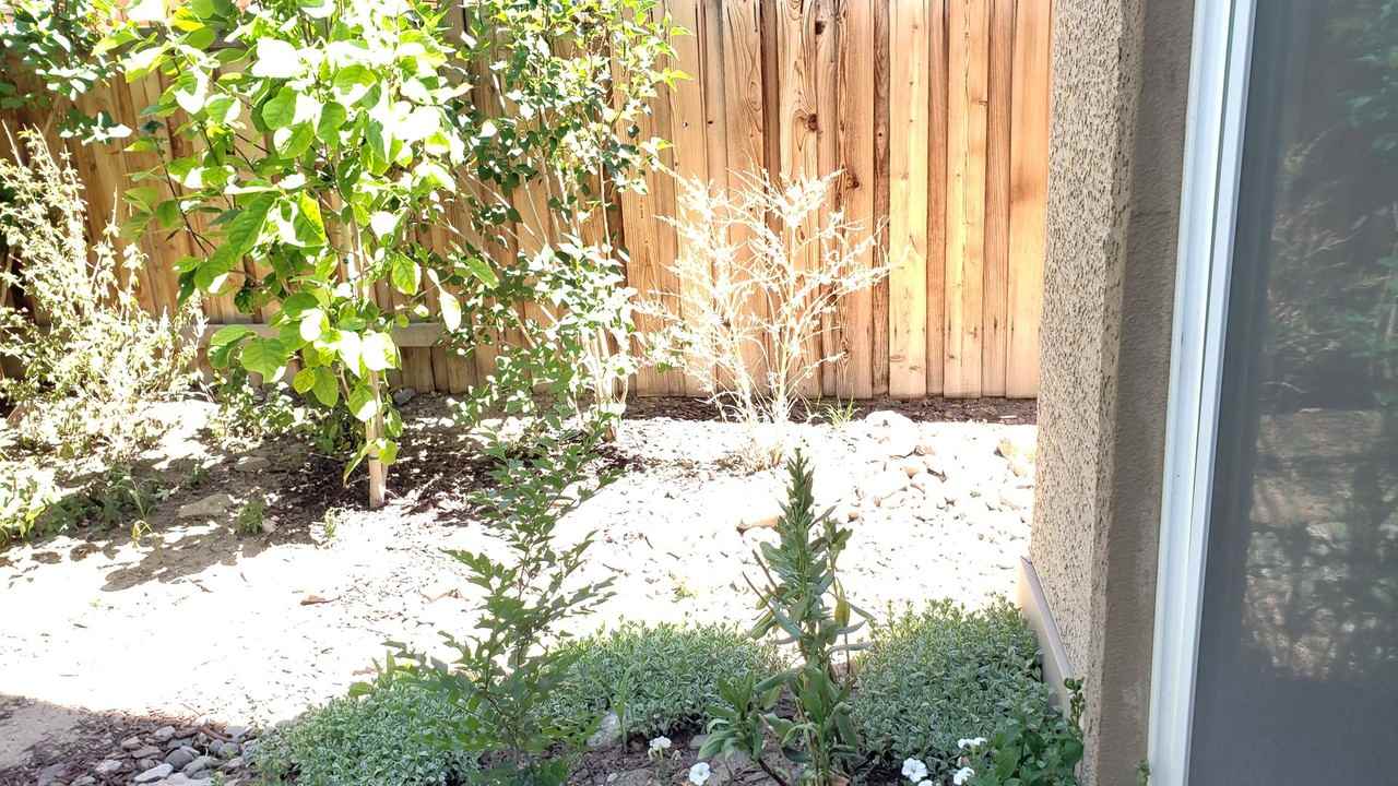 3890 Silent Pebble Way - Photo 6 of 31