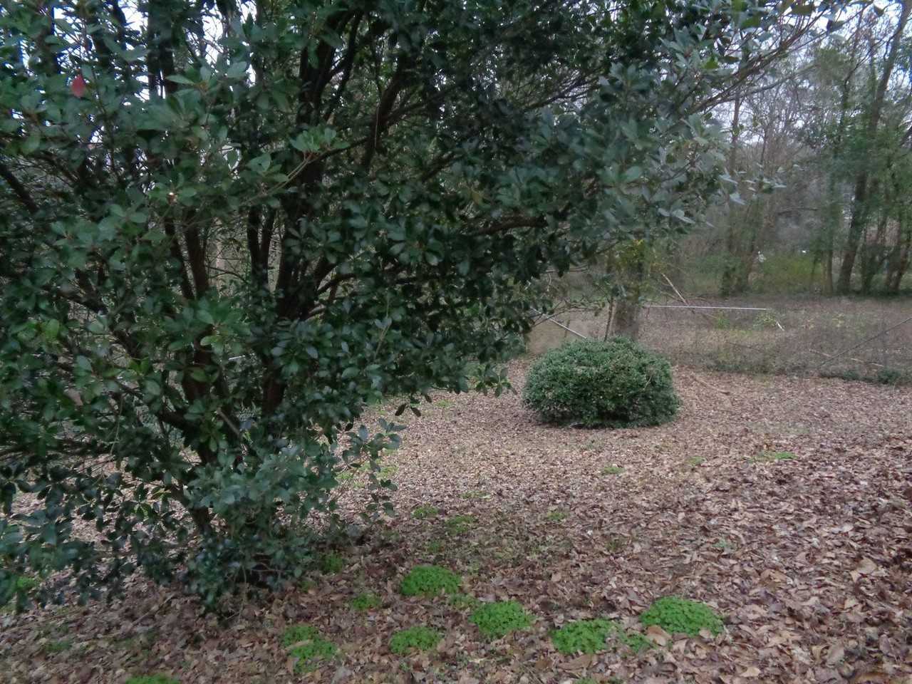 1627 Hasty Pl Nw - Photo 4 of 15