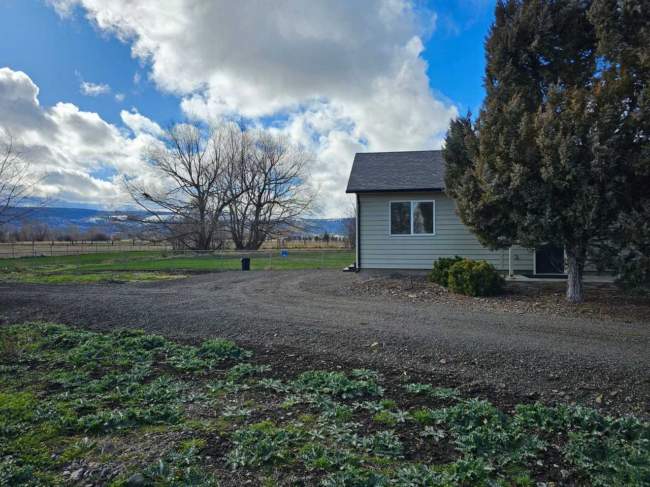 10203 White Birch Lane - Photo 2 of 11