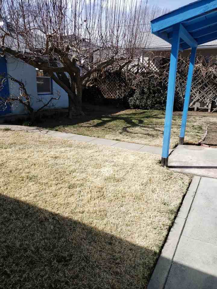 675 W Pine St - Photo 2 of 11