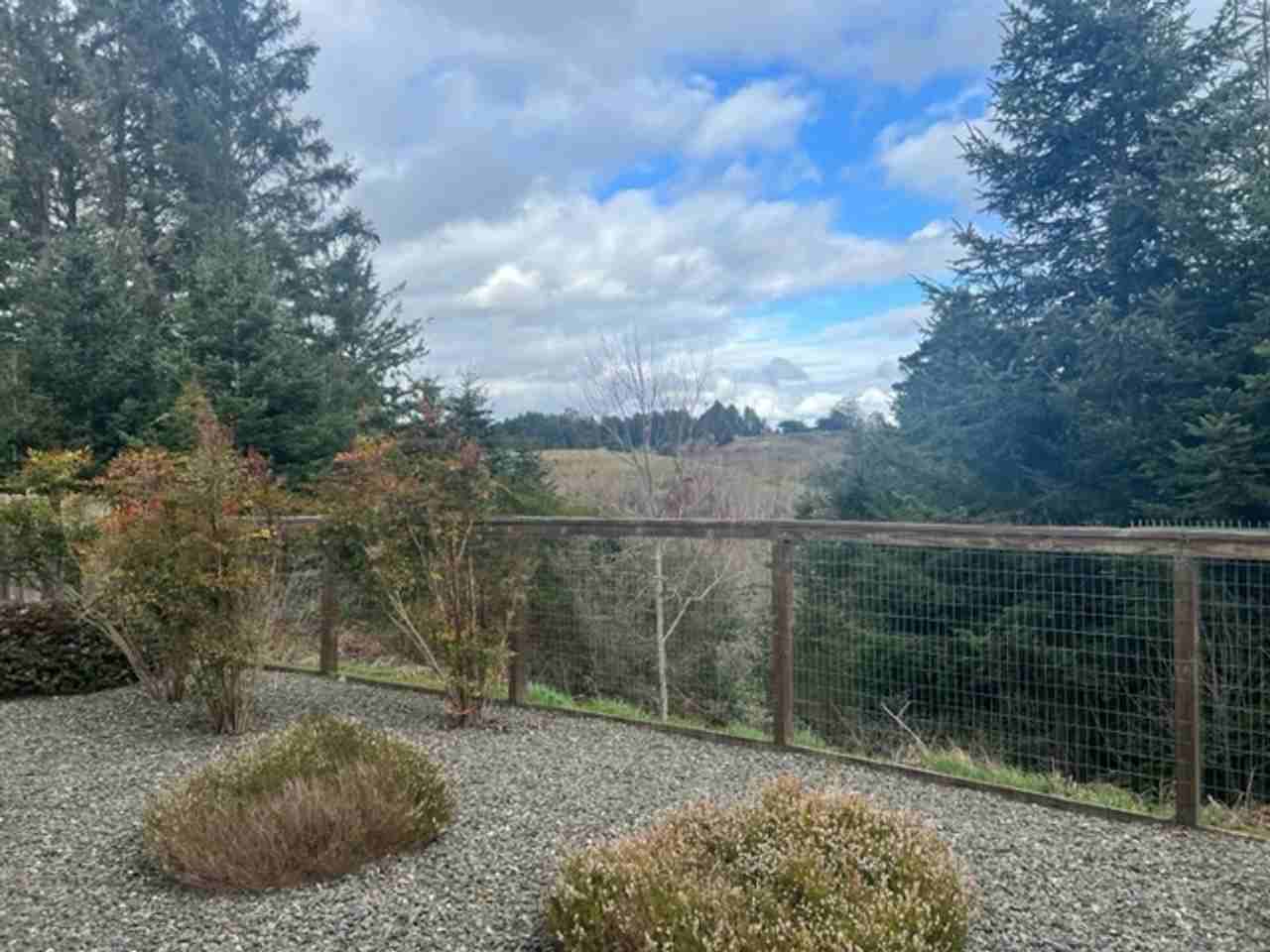 200 Shadowbrook St - Photo 2 of 36