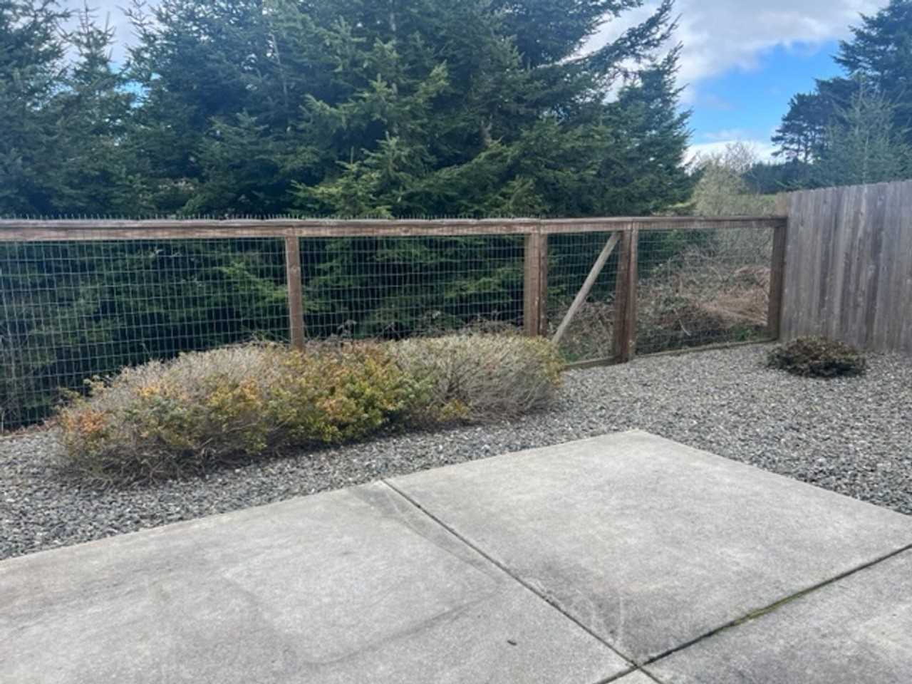 200 Shadowbrook St - Photo 3 of 36