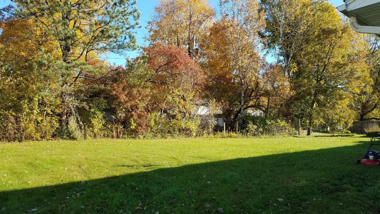 113 Emory Dr - Photo 2 of 30