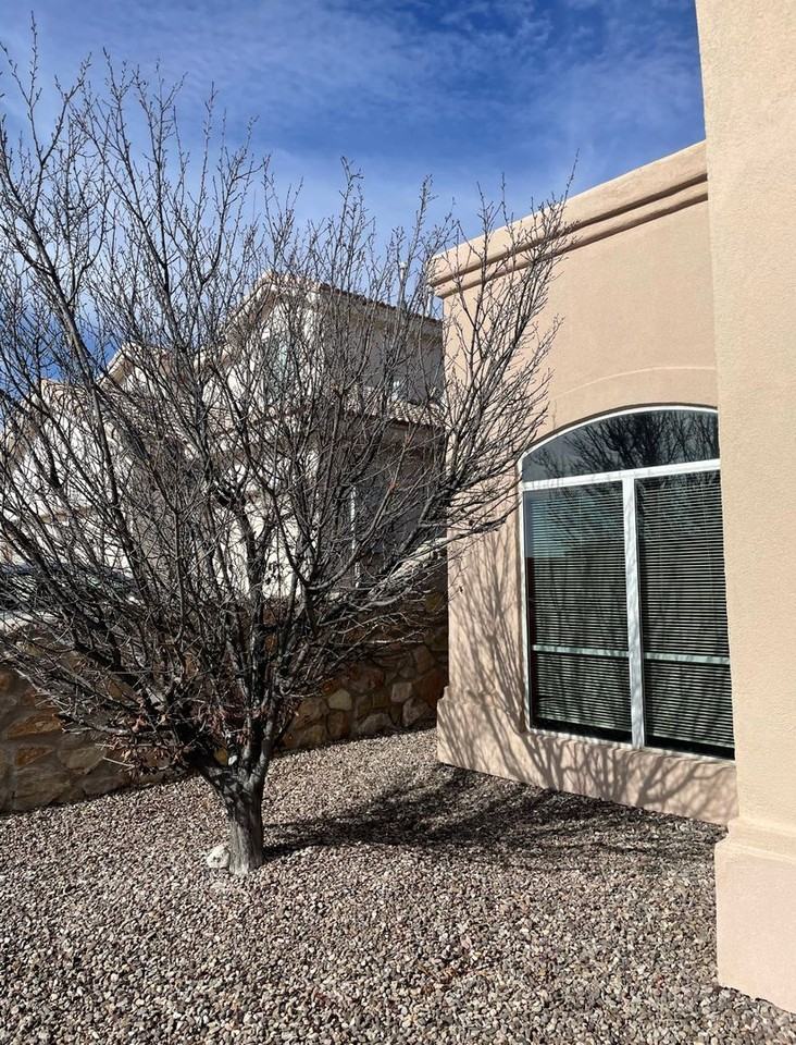 3784 Ascencion Cir - Photo 6 of 33
