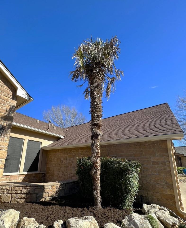 106 Morning Glory Cir - Photo 3 of 50