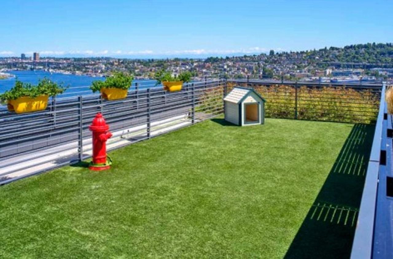 June on South Lake - Photo 6 of 8