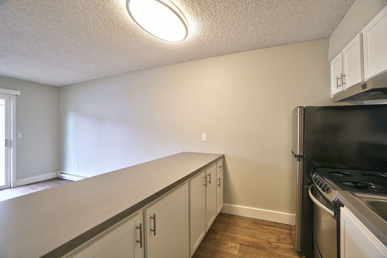 The Zimmer - Photo 4 of 40