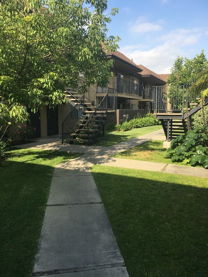 APT NICHOLSON GARDEN - Photo 5 of 19