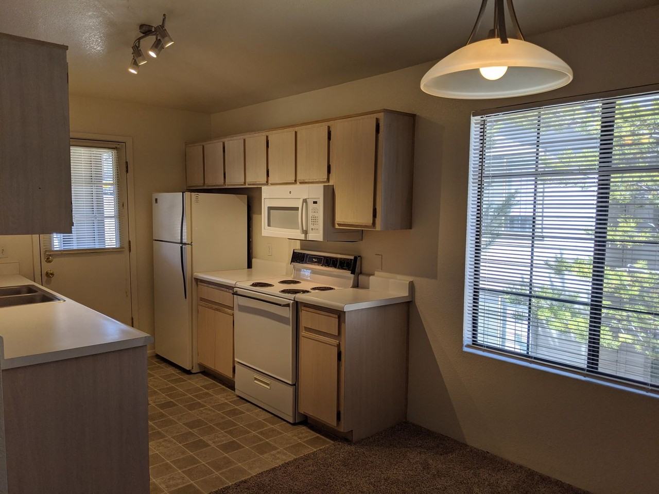 Forest Meadows - Photo 2 of 50