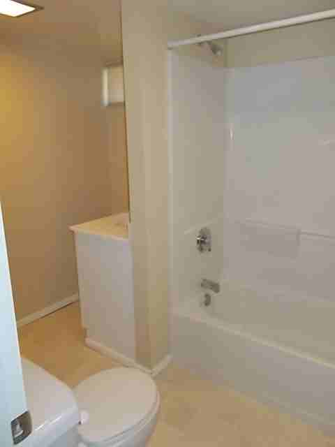 2414 Meadowood St - Photo 6 of 11