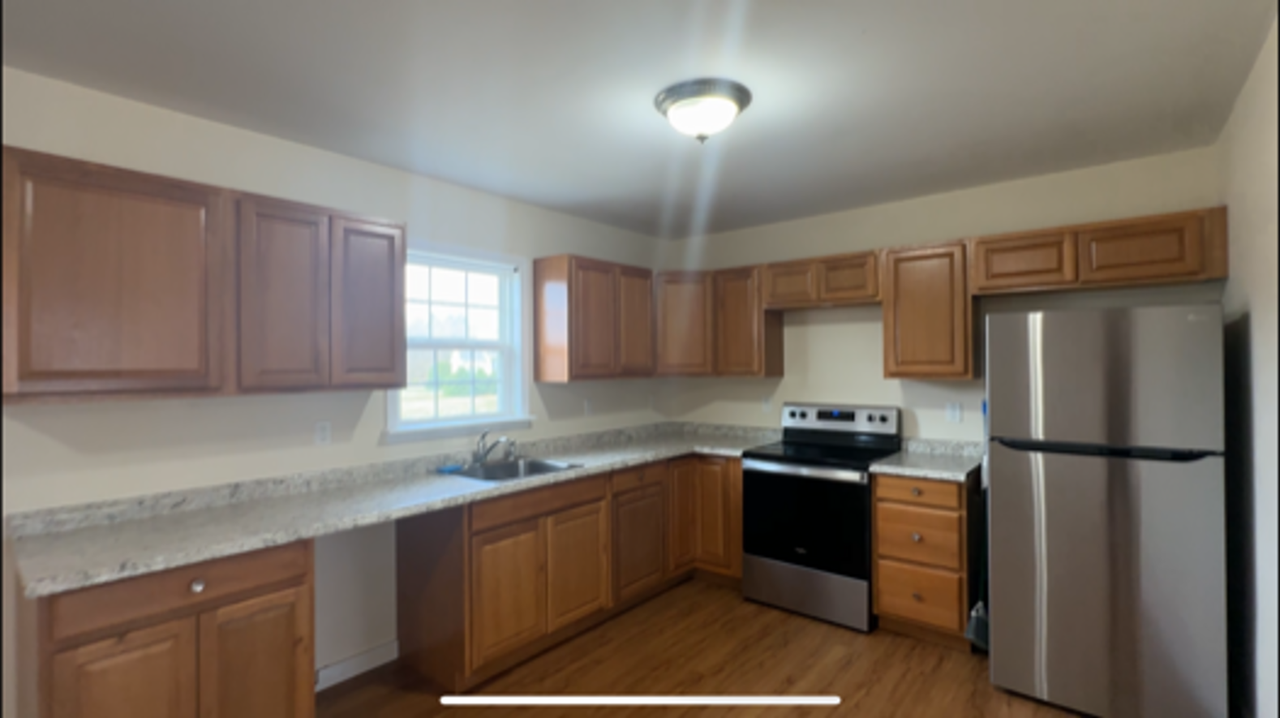745 Shady Lane Rd - Photo 3 of 10