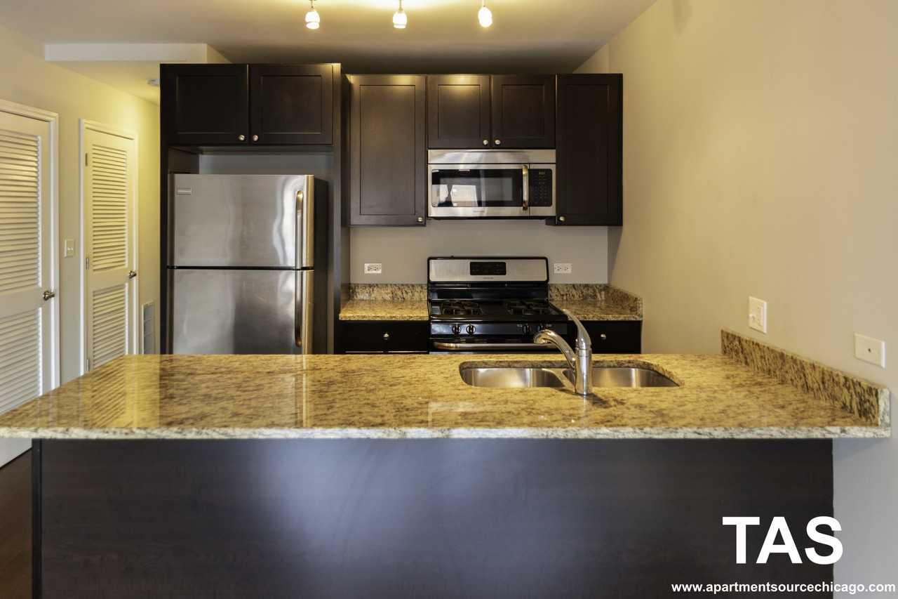 1464 S Michigan Ave #2303 - Photo 2 of 24