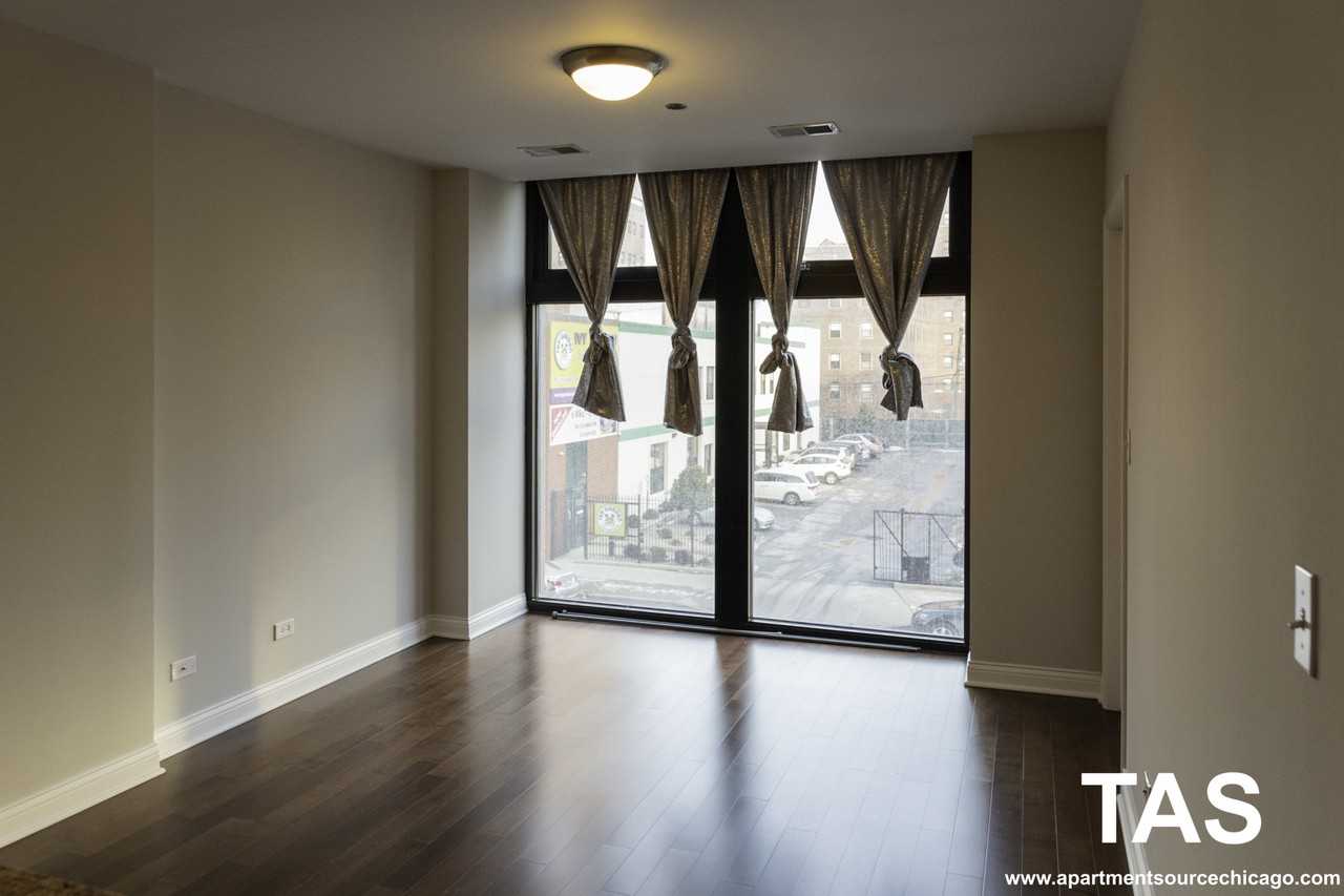 1464 S Michigan Ave #2303 - Photo 4 of 24