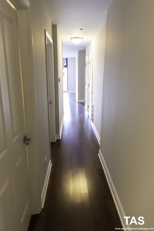 1464 S Michigan Ave #2303 - Photo 5 of 24