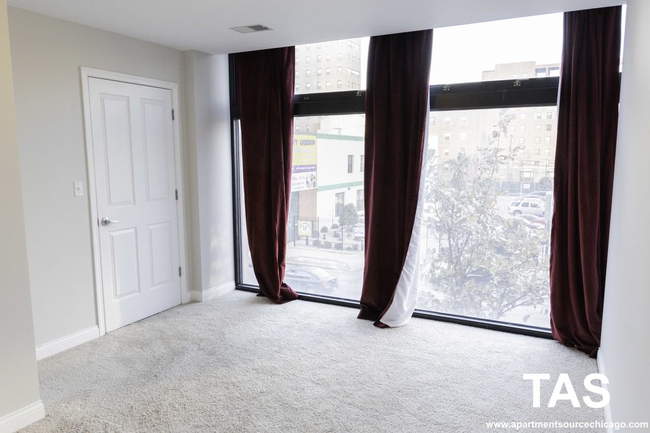 1464 S Michigan Ave #2303 - Photo 6 of 24