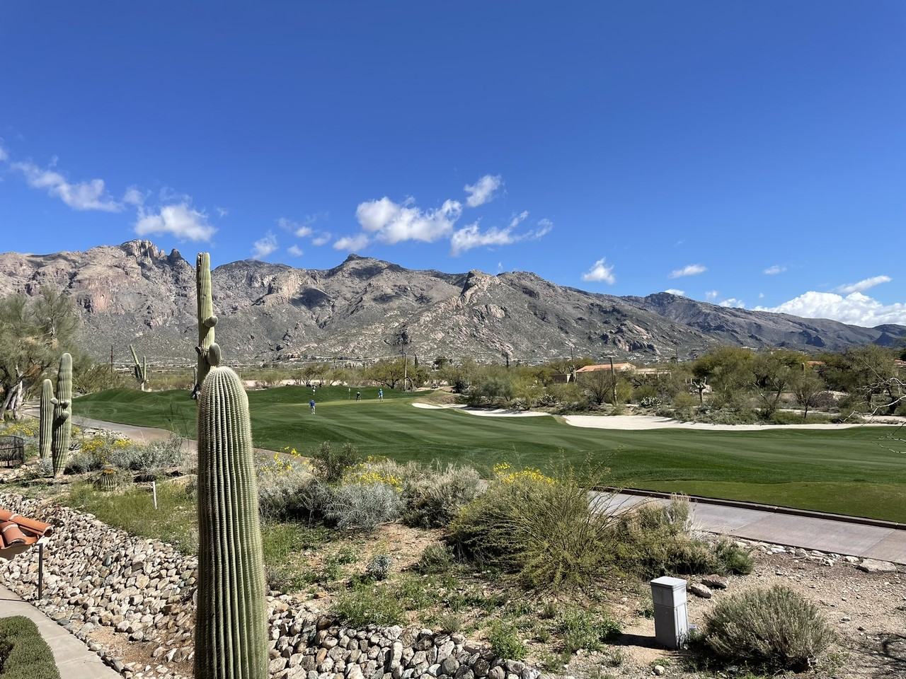 6286 N Vuelta Tajo - Photo 2 of 35