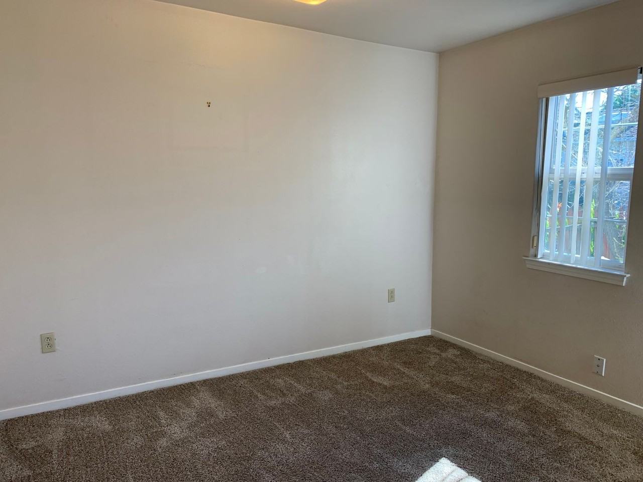 1238 Richmond St - Photo 3 of 14