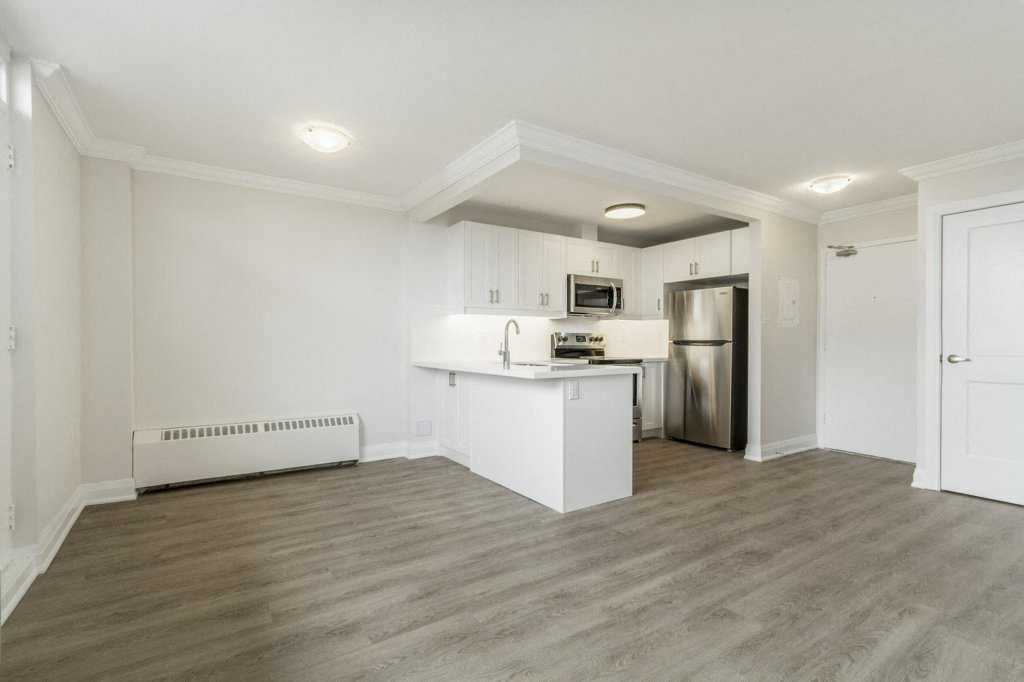 20 Elizabeth Street N Apartments 20 Elizabeth St N, Mississauga, ON