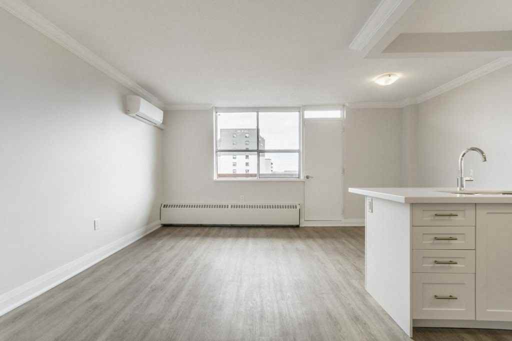 20 Elizabeth Street N Apartments 20 Elizabeth St N, Mississauga, ON